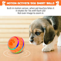 Peppy Pet Ball for Dogs