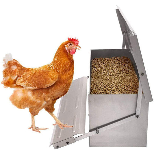 Automatic Chicken Feeder - Galvanized Treadle Poultry Auto-Feeder for Outdoor Gardens