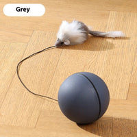 Teaser Ball Funny Moving Toy for Pets