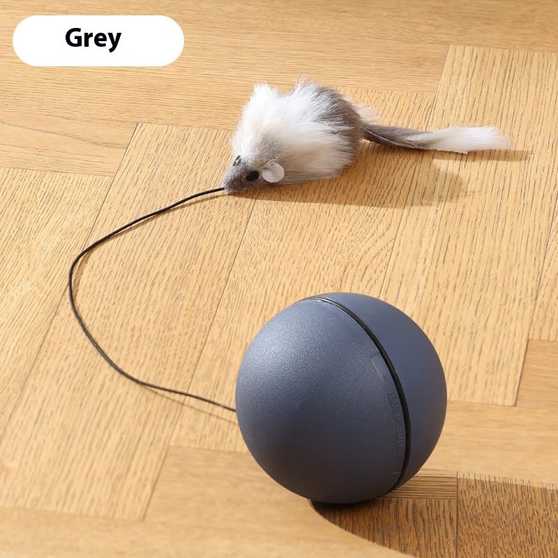 Teaser Ball Funny Moving Toy for Pets