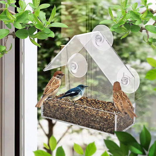 Transparent Window Bird Feeder with Removable Suction Cups and Sliding Feed Tray for Garden, Patio, and Yard