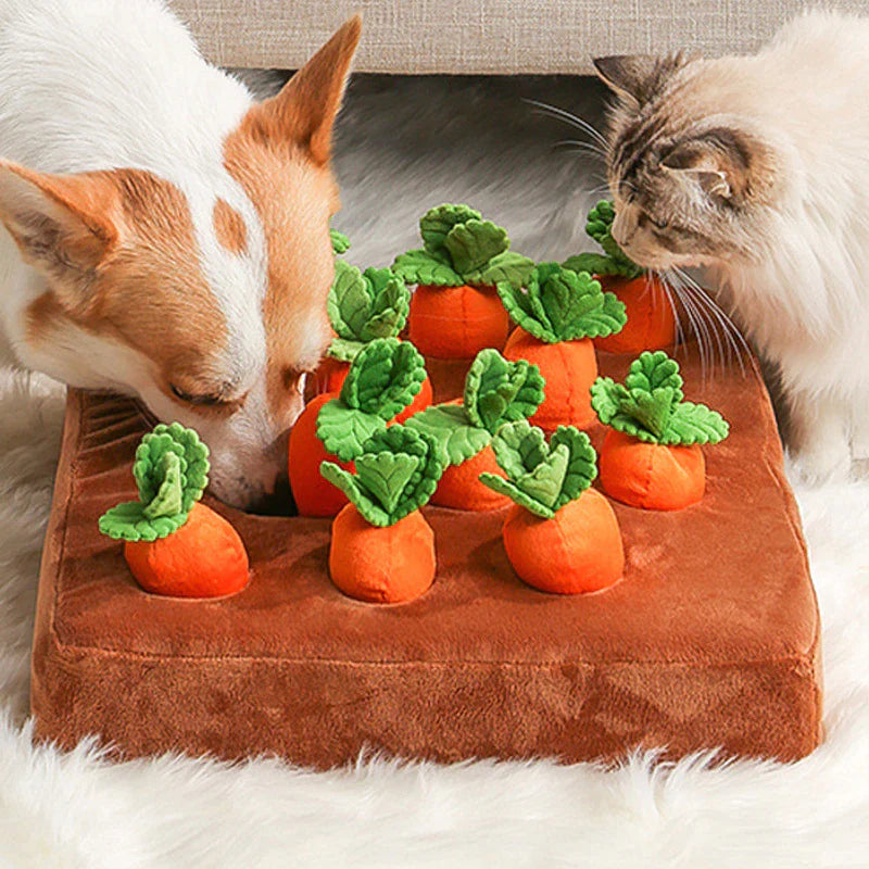 Dog Cat Toy Carrot Plush