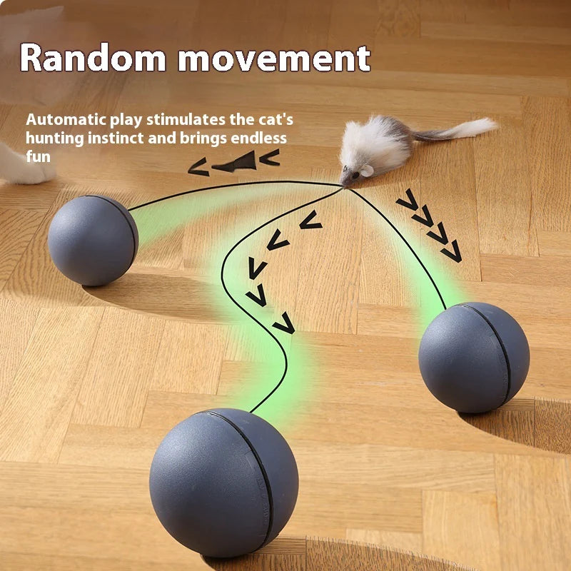 Teaser Ball Funny Moving Toy for Pets