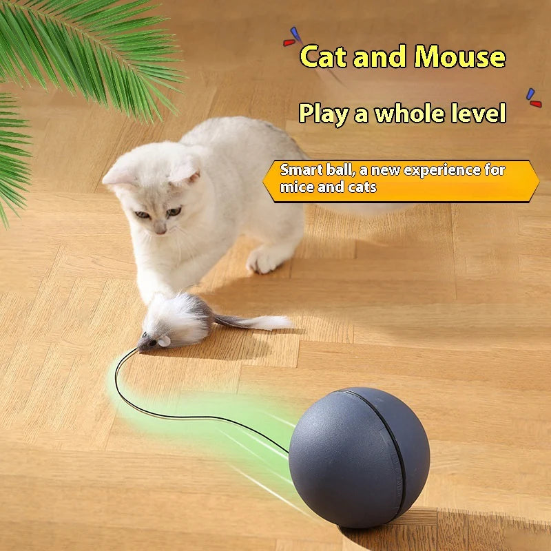 Teaser Ball Funny Moving Toy for Pets