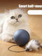 Teaser Ball Funny Moving Toy for Pets