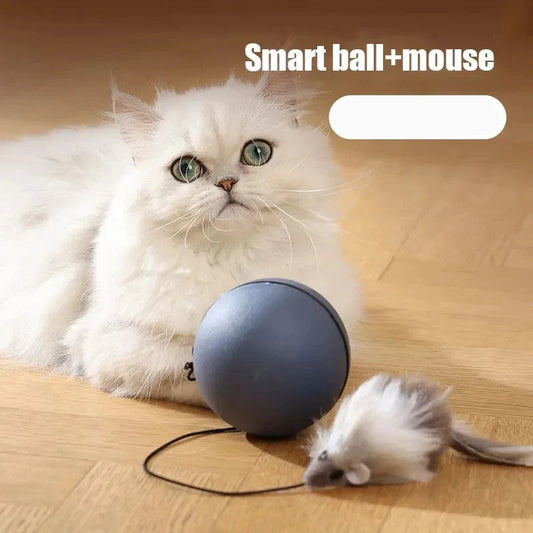 Teaser Ball Funny Moving Toy for Pets