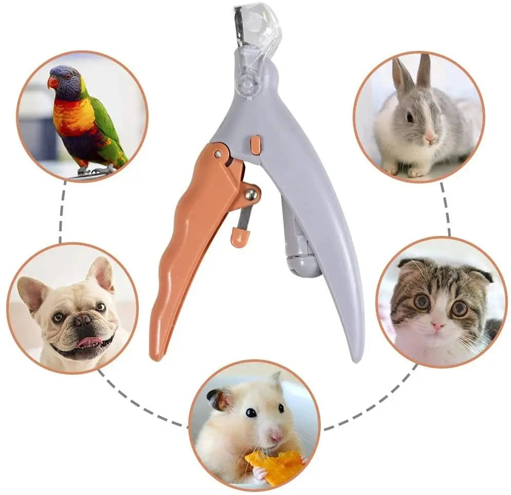 Professional LED Pet Nail Clippers – Cat, Dog, and Small Pet Nail Scissors with Precision Cutting Light