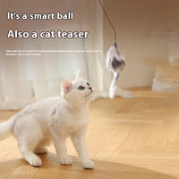 Teaser Ball Funny Moving Toy for Pets