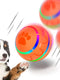 Peppy Pet Ball for Dogs